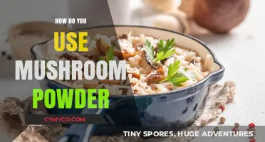 Unlocking the Magic: How to Use Mushroom Powder in Your Cooking