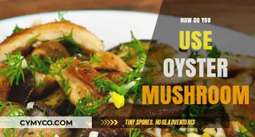 Savor the Umami: A Beginner's Guide to Cooking with Oyster Mushrooms
