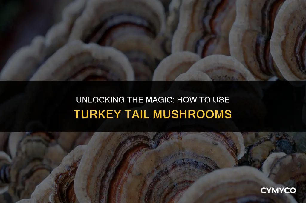 how do you use turkey tail mushrooms