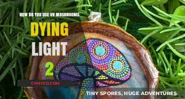 Mastering UV Mushroom Dyeing in Dying Light 2: A Comprehensive Guide