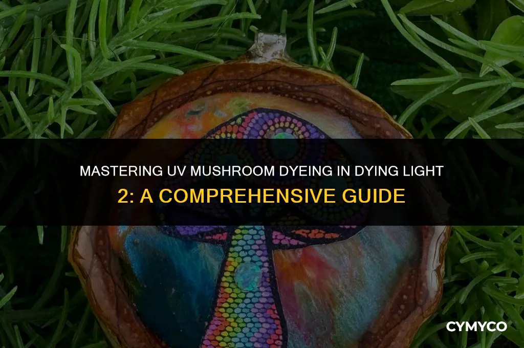 how do you use uv mushrooms dying light 2