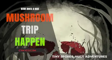 Exploring the Risks: How a Bad Mushroom Trip Happens