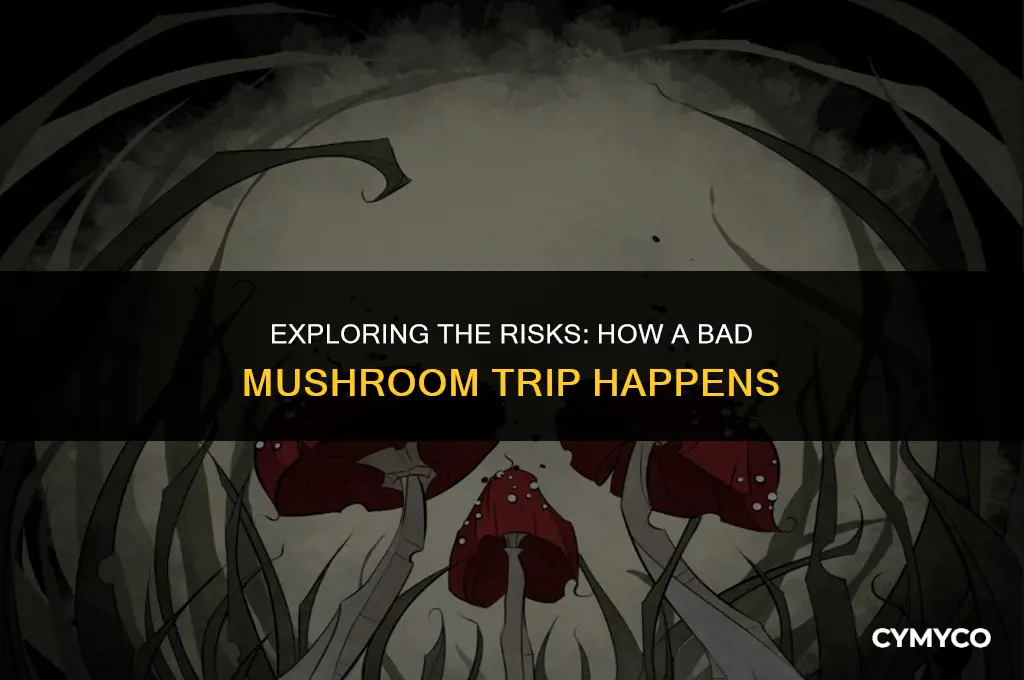 how does a bad mushroom trip happen