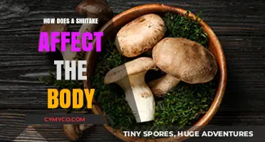 Exploring the Health Benefits of Shiitake Mushrooms