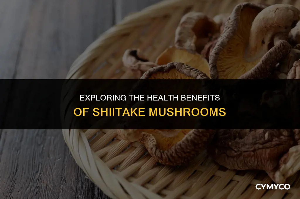 how does a shiitake affect the body