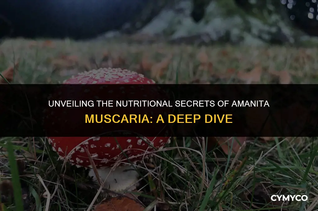 how does amanita muscaria get its nutrition