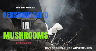 Sylvia Plath's Poetic Personification in 'Mushrooms