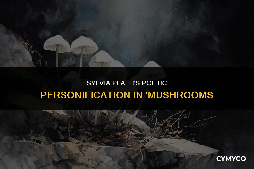 how does plath use personification in mushrooms