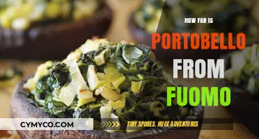 Exploring the Distance: Portobello to Fuomo Travel Guide