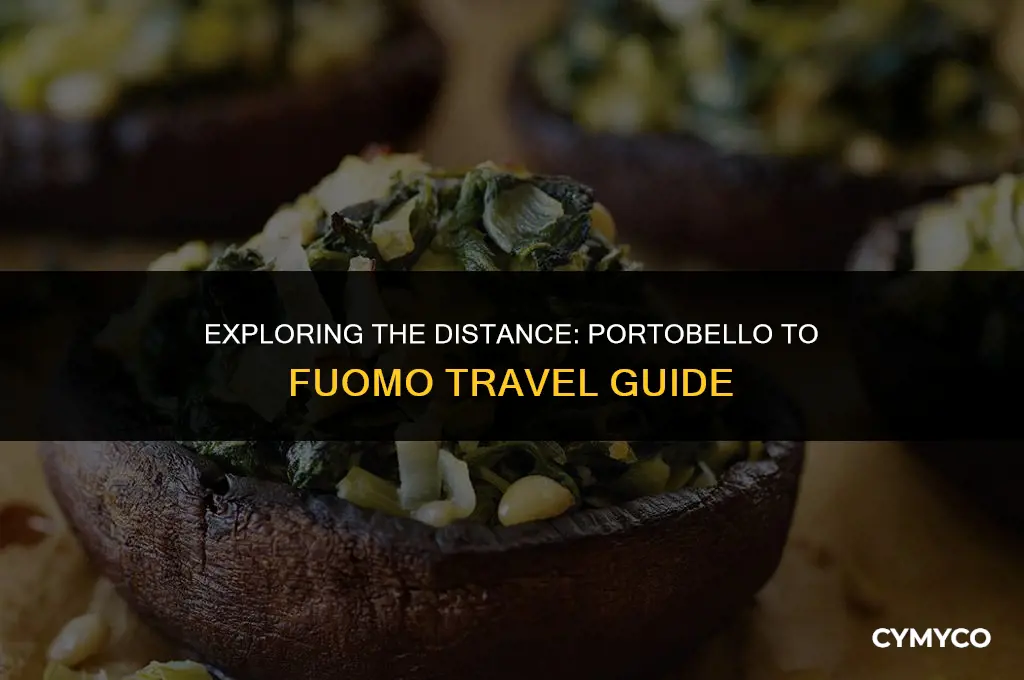 how far is portobello from fuomo