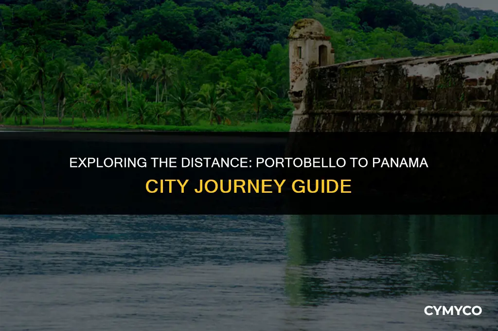 how far is portobello from panama city