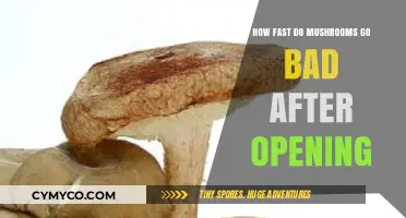 Freshness Countdown: How Long Do Mushrooms Last After Opening?