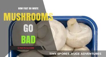 Freshness Matters: The Shelf Life of White Mushrooms Explained