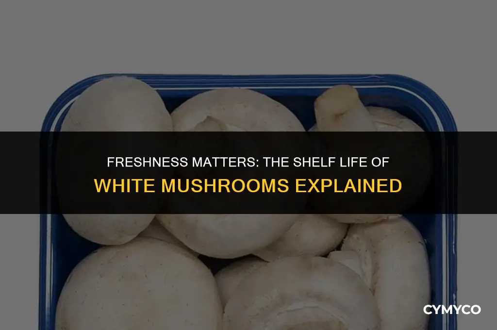 how fast do white mushrooms go bad
