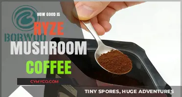 Ryze Mushroom Coffee Review: Benefits, Taste, and Energy Boost Explored
