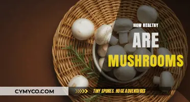 Exploring the Nutritional Benefits and Risks of Mushrooms
