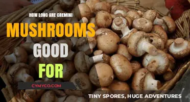 How Long Do Cremini Mushrooms Last? A Storage Guide