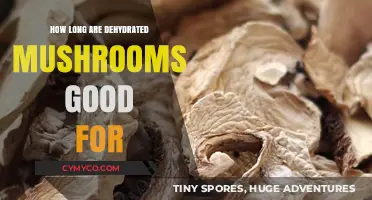 Shelf Life of Dehydrated Mushrooms: A Comprehensive Guide