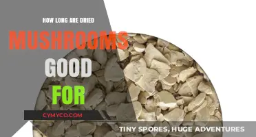 Shelf Life of Dried Mushrooms: How Long Do They Last?