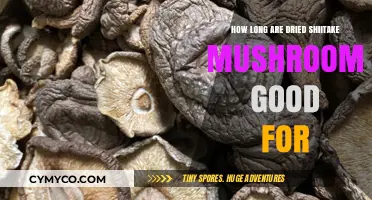 Savoring Umami: The Shelf Life of Dried Shiitake Mushrooms