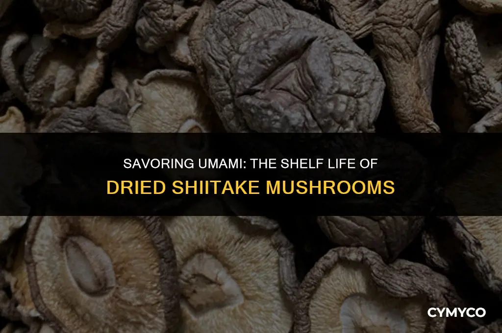 how long are dried shiitake mushrooms good for