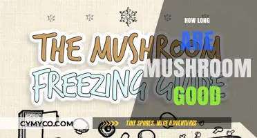 Maximizing Freshness: A Guide to Mushroom Storage and Shelf Life