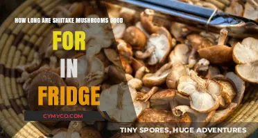 Freshness Countdown: Shiitake Mushrooms' Shelf Life in the Fridge