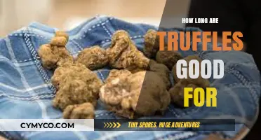 Truffle Shelf Life: How Long Do Truffles Stay Fresh?