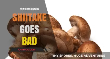Freshness Countdown: How Long Do Shiitake Mushrooms Last?