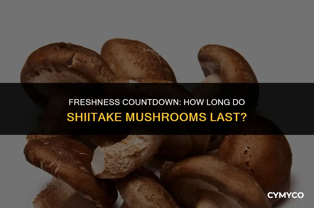 how long before shiitake goes bad