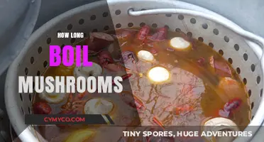 Perfectly Cooked Mushrooms: Mastering the Ideal Boiling Time