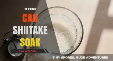 Unlocking Umami: The Optimal Soaking Time for Shiitake Mushrooms