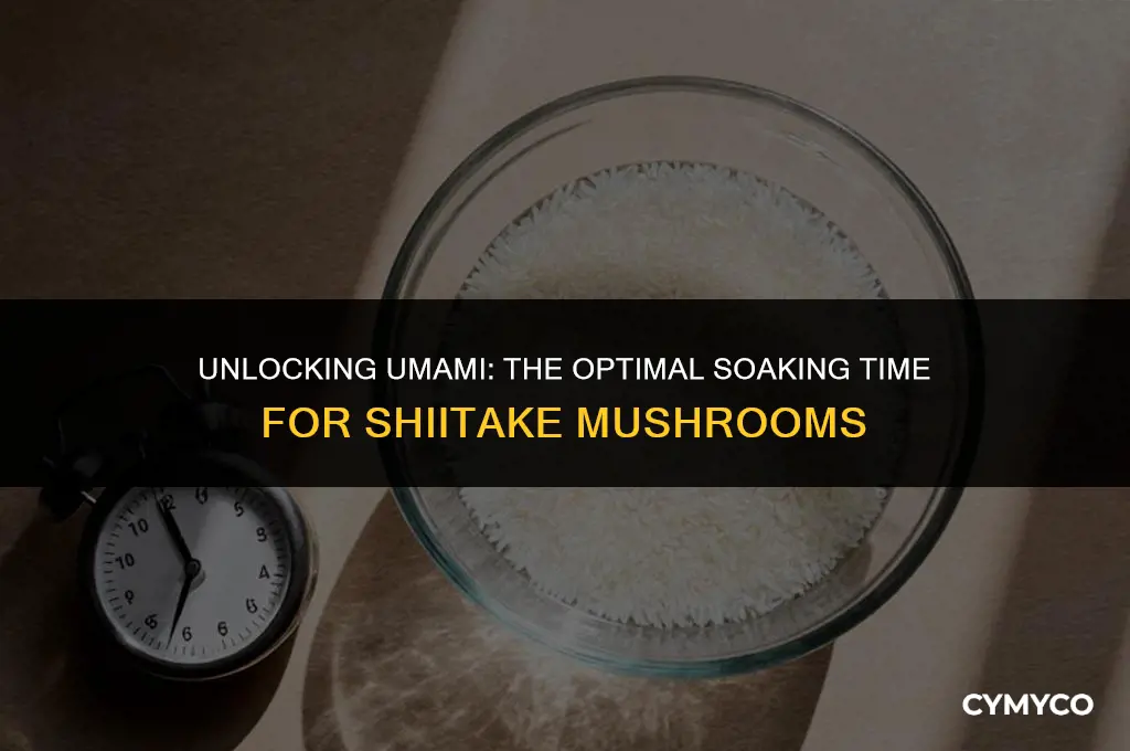 how long can shiitake soak