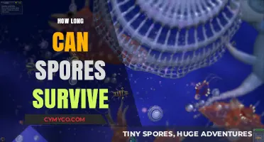 Unveiling the Resilience: How Long Can Spores Survive?