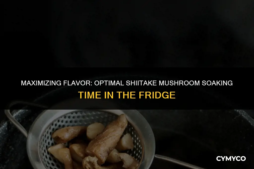 how long can you soak shiitake in fridge
