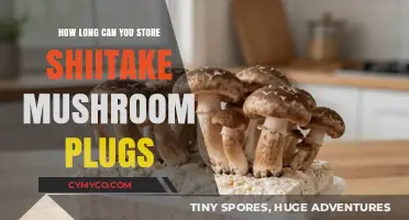 Maximizing Shelf Life: A Guide to Storing Shiitake Mushroom Plugs