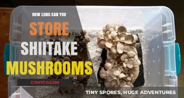 Maximizing Freshness: Optimal Storage Tips for Shiitake Mushrooms