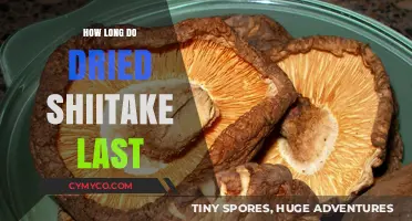 Savoring Umami: The Shelf Life of Dried Shiitake Mushrooms