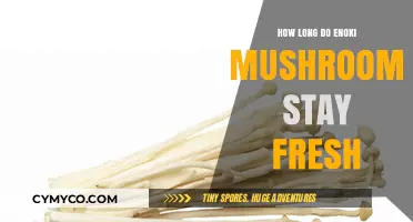 Maximizing Freshness: A Guide to Enoki Mushroom Storage