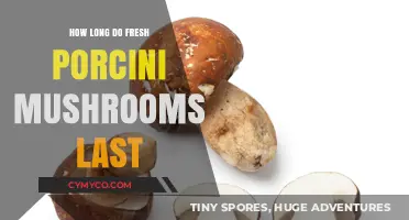 Savoring Freshness: The Shelf Life of Porcini Mushrooms Explained