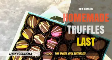 Truffle Treasures: A Guide to Homemade Truffles' Shelf Life