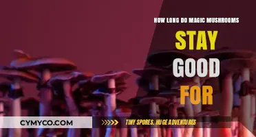 Magic Mushrooms Shelf Life: How Long Do They Stay Potent?