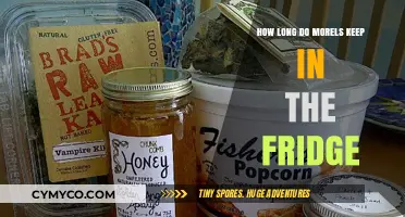 Storing Morels: How Long Do They Last in the Fridge?