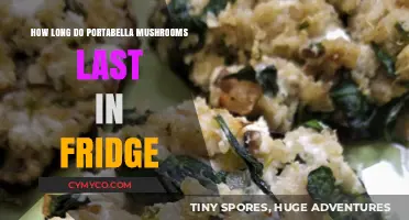 Portabella Mushrooms Shelf Life: How Long Do They Last in Fridge?