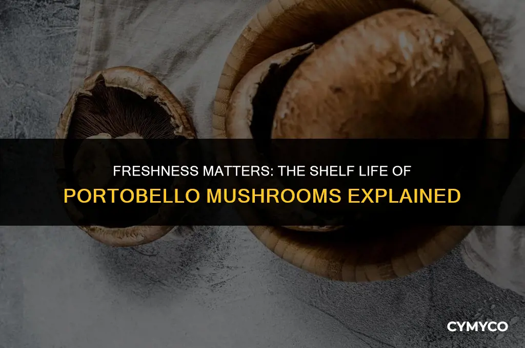 how long do portobellos keep
