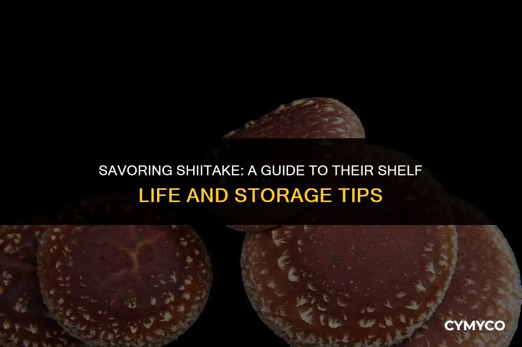 how long do shiitake last