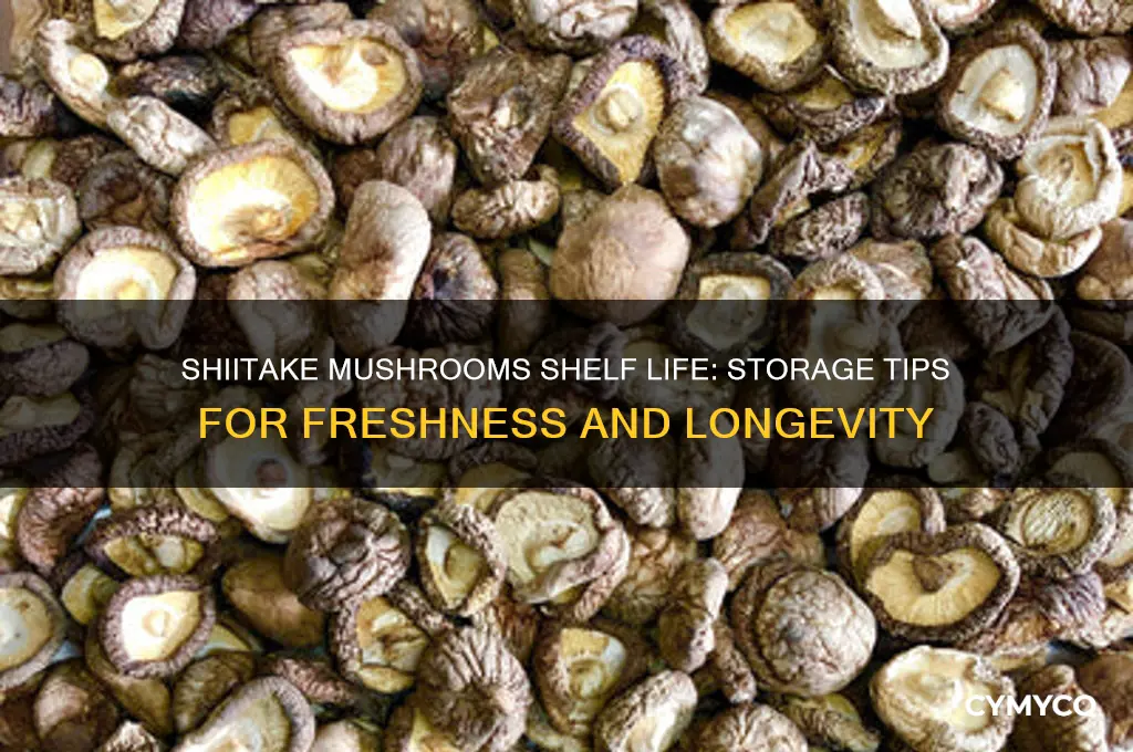 how long do shiitake mushrooms last