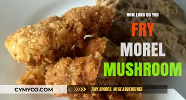 Perfectly Crispy Morel Mushrooms: A Frying Time Guide