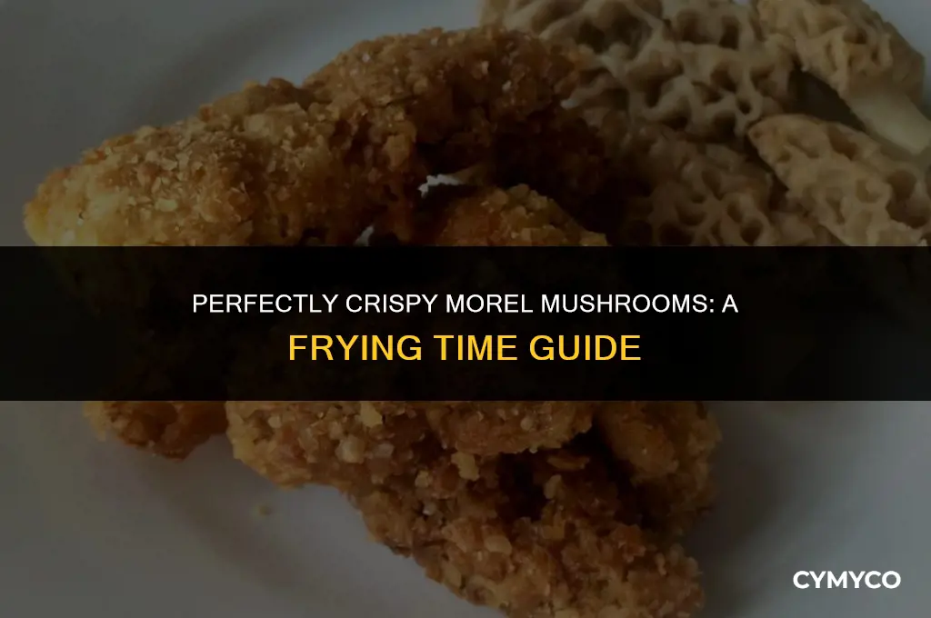 how long do you fry morel mushrooms