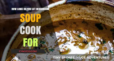 Simmering to Perfection: The Ideal Cooking Time for Mushroom Soup